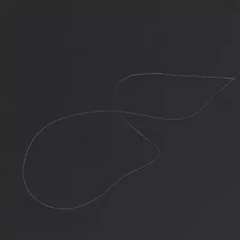 Прочный проект Мюзик-Холл Анти-Скейт Вес с нейлоновой нитью для Тонарм Виниловые Пластинки Аксессуары B85B