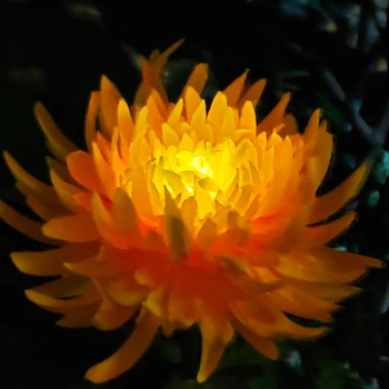 Солнечная хризантема Цветочные огни На открытом воздухе Украшение сада Моделирование Цветочный газон Светодиодный садовый пейзажный свет Ночник